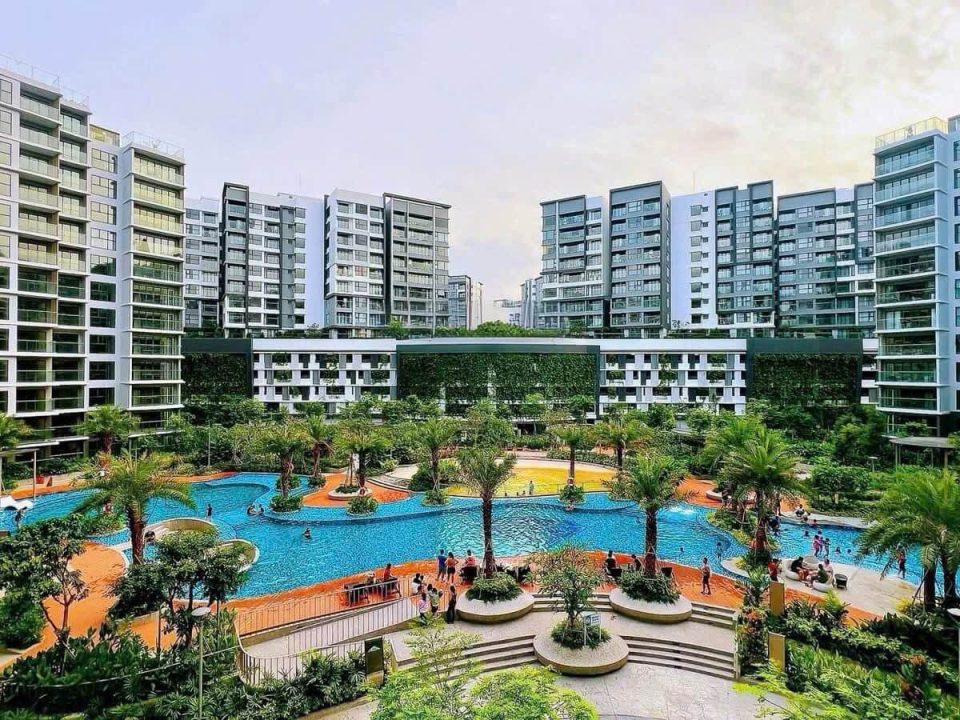 Giữa guồng quay phố thị, Celadon là nơi mọi nhịp sống được làm chậm lại 1