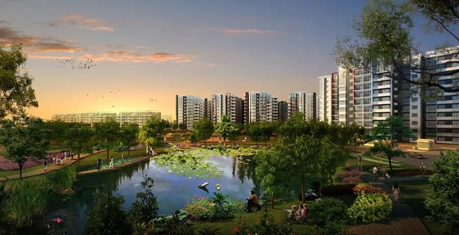 Giữa guồng quay phố thị, Celadon là nơi mọi nhịp sống được làm chậm lại 2